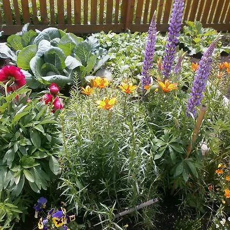 Inn Haus Bodele Sankt Leonhard im Pitztal