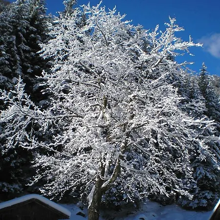 Haus Bodele Sankt Leonhard im Pitztal