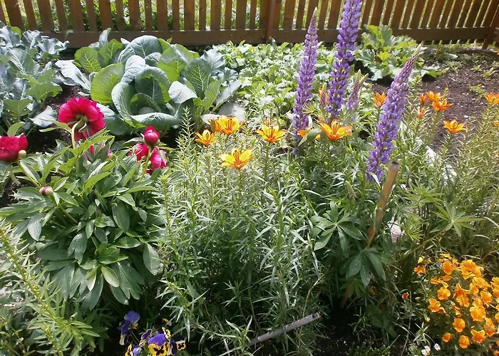 Mini-hôtel Haus Boedele Sankt Leonhard im Pitztal