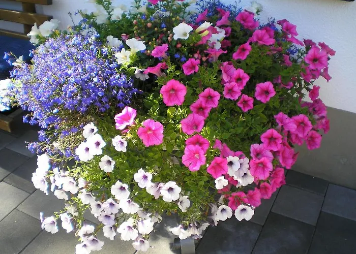 Haus Boedele Mini-hôtel *