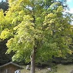 Haus Boedele Herberg
