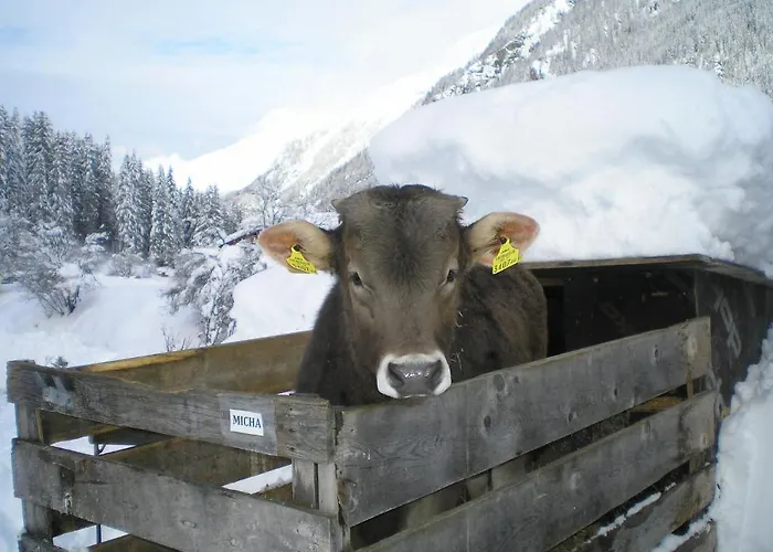Haus Boedele 宾馆 皮茨河谷圣莱昂哈德