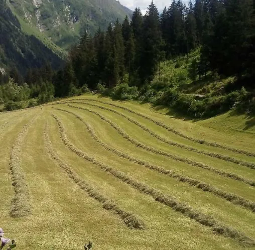 宾馆 Haus Boedele 皮茨河谷圣莱昂哈德