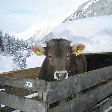 Haus Boedele 宾馆 皮茨河谷圣莱昂哈德