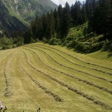 宾馆 Haus Boedele 皮茨河谷圣莱昂哈德
